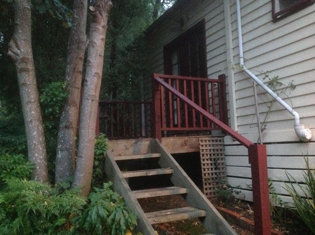 Belgrave Hideaway Bed & Breakfast Bagian luar foto